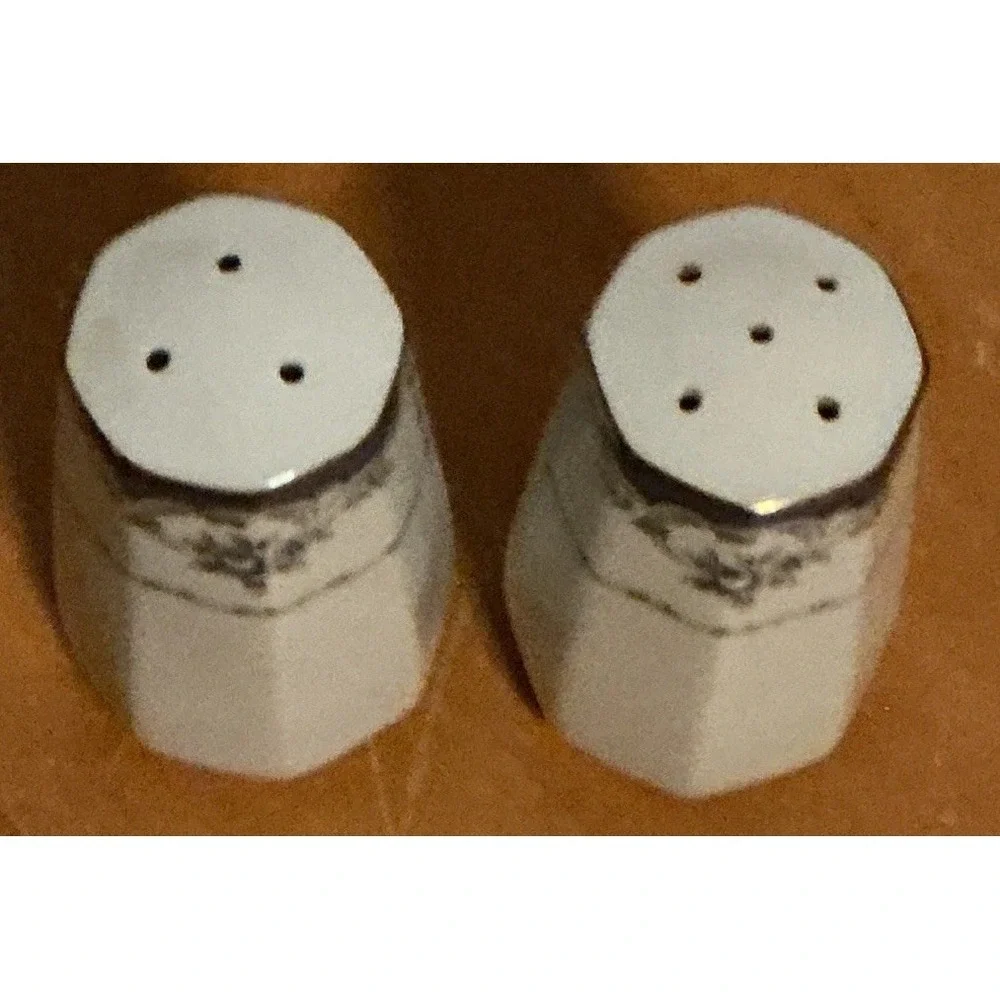 Seizan Fine China‎ Mood Indigo 7936 Salt And Pepper Shakers, Retired